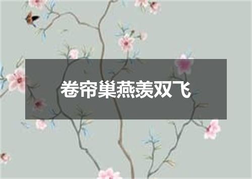 卷帘巢燕羡双飞