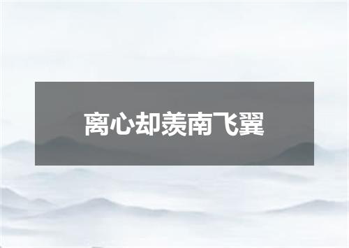 离心却羡南飞翼