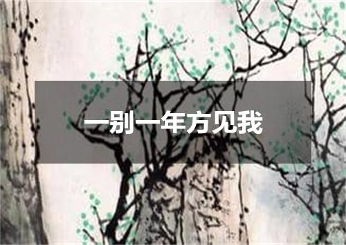 一别一年方见我