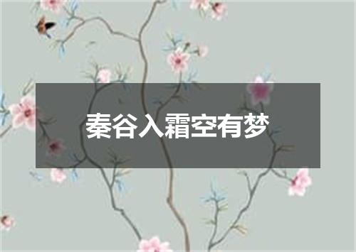 秦谷入霜空有梦