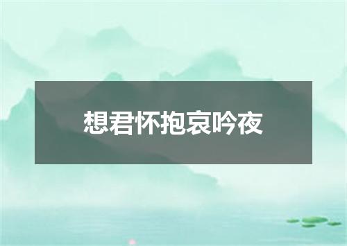 想君怀抱哀吟夜
