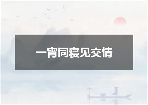 一宵同寝见交情
