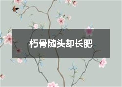 朽骨随头却长肥