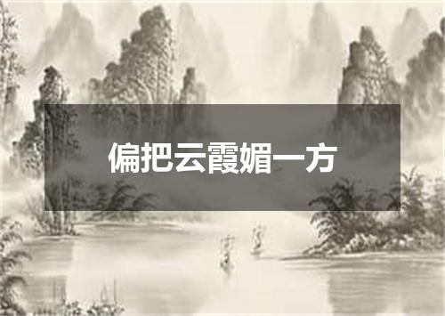 偏把云霞媚一方