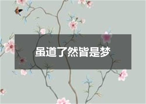 虽道了然皆是梦