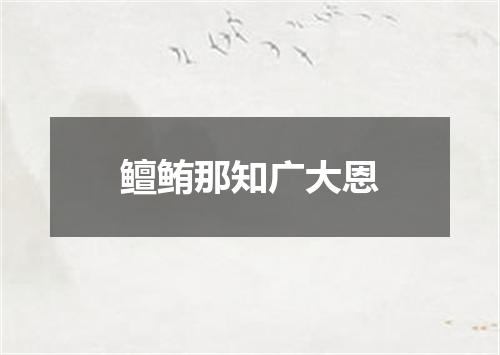 鳣鲔那知广大恩