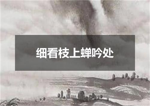 细看枝上蝉吟处