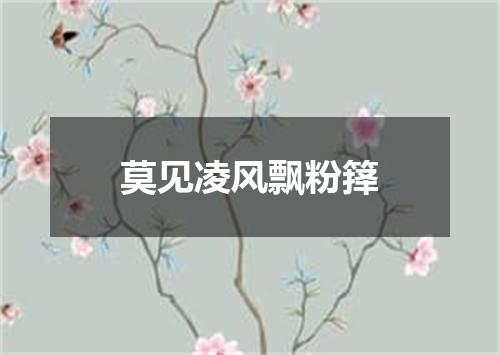 莫见凌风飘粉箨
