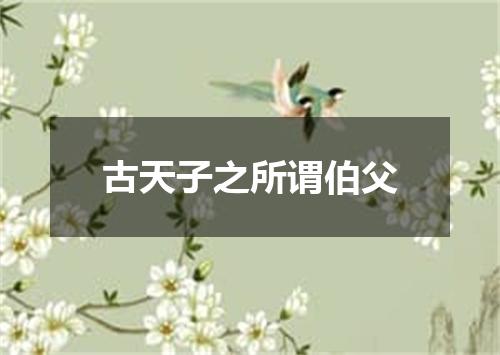 古天子之所谓伯父