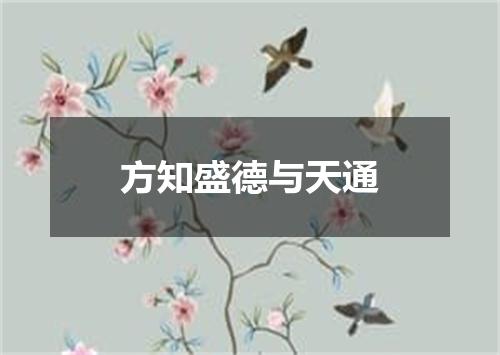 方知盛德与天通