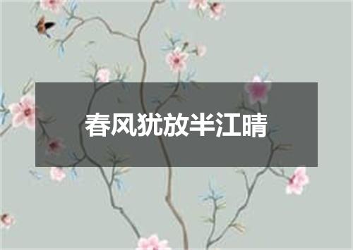 春风犹放半江晴