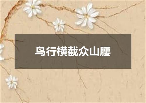 鸟行横截众山腰