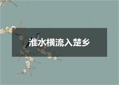 淮水横流入楚乡