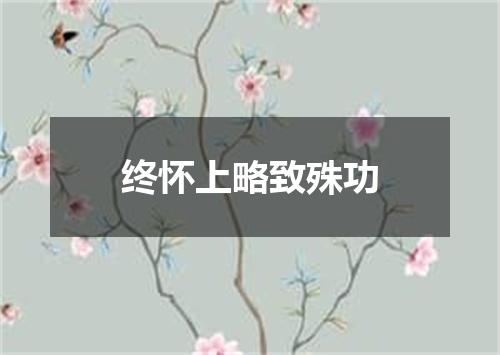 终怀上略致殊功
