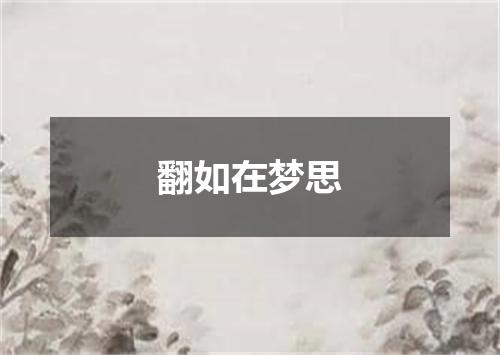 翻如在梦思