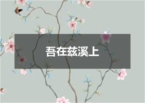 吾在兹溪上