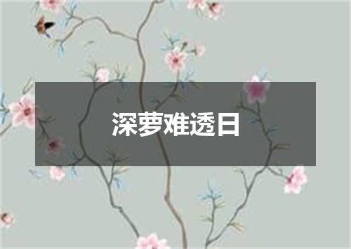 深萝难透日