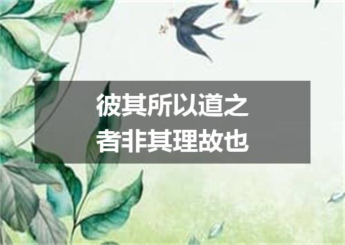 彼其所以道之者非其理故也