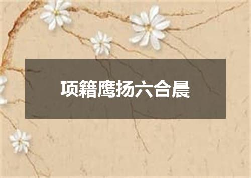 项籍鹰扬六合晨