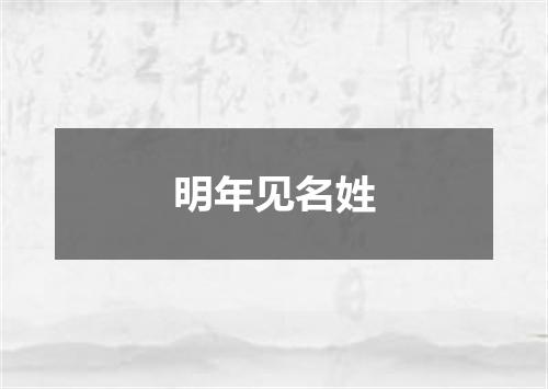 明年见名姓