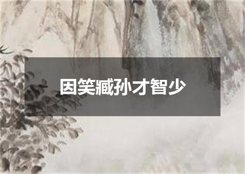 因笑臧孙才智少