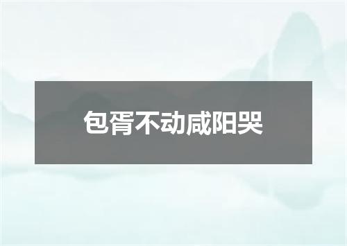 包胥不动咸阳哭