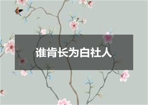 谁肯长为白社人