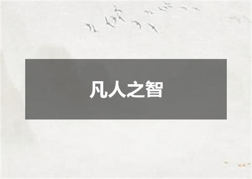 凡人之智