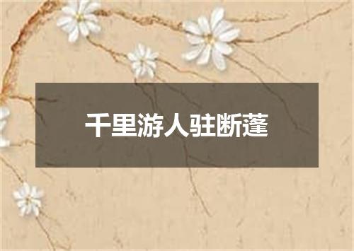 千里游人驻断蓬