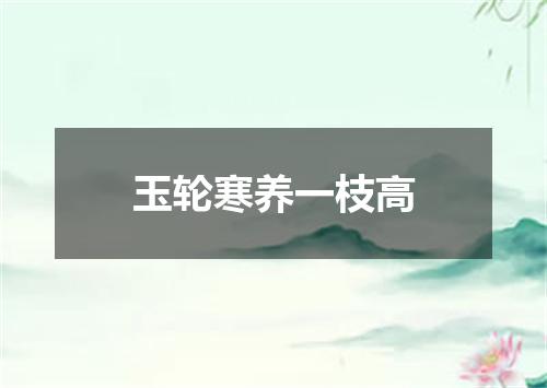 玉轮寒养一枝高