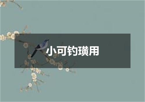 小可钓璜用