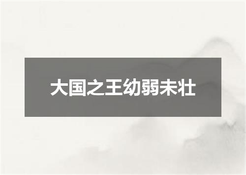 大国之王幼弱未壮