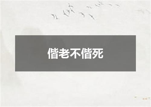偕老不偕死