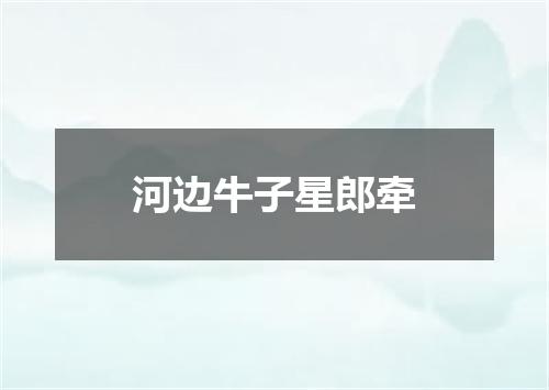 河边牛子星郎牵