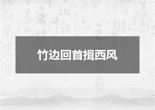 竹边回首揖西风