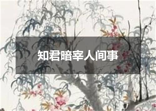 知君暗宰人间事