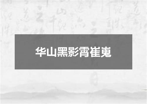 华山黑影霄崔嵬
