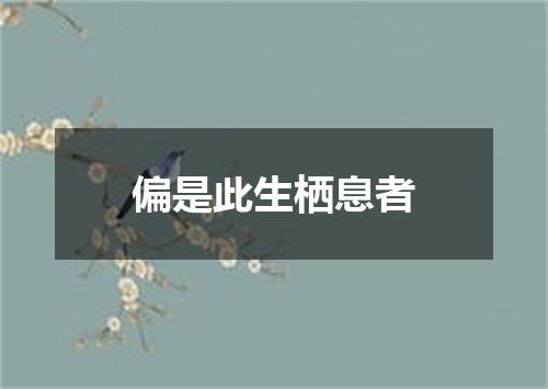偏是此生栖息者
