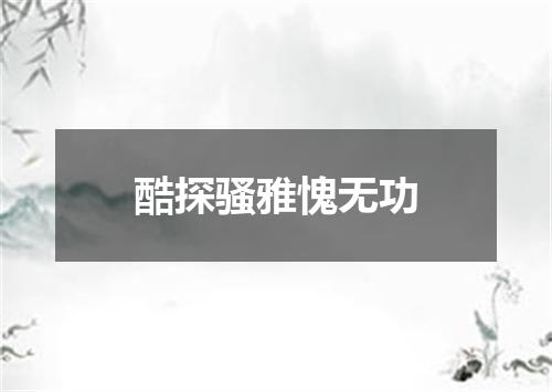 酷探骚雅愧无功