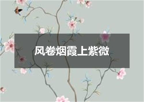 风卷烟霞上紫微