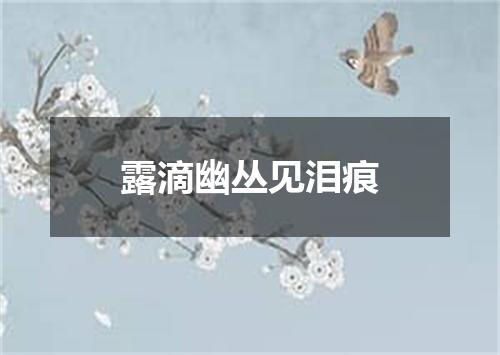 露滴幽丛见泪痕