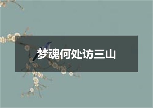 梦魂何处访三山