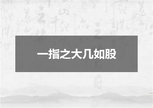 一指之大几如股
