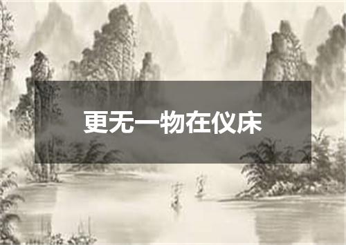 更无一物在仪床