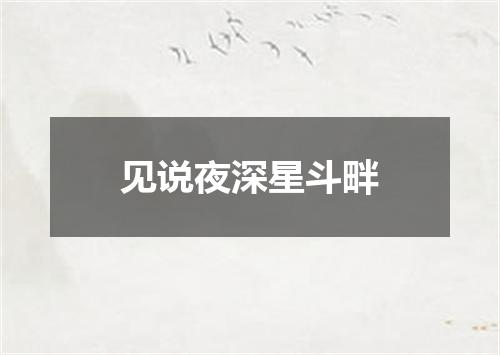 见说夜深星斗畔