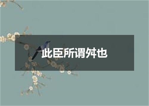 此臣所谓舛也