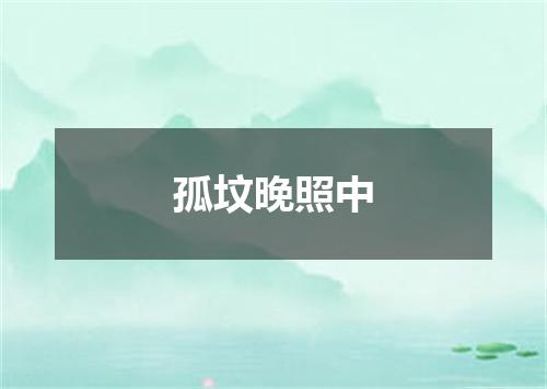 孤坟晚照中