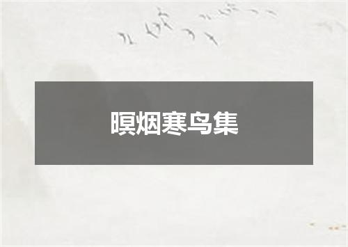 暝烟寒鸟集