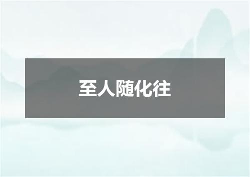 至人随化往