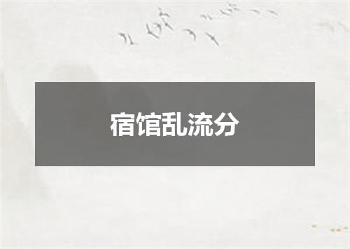 宿馆乱流分